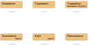 A grid of six labels on a white background, showing different cetuximab brand names and codes: Dolasetron, Tropisetron (Navoban) 5mg/5mL, Granisetron mg/mL, Kytril mg/mL, and Palonosetron.