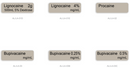 Six rectangular label tiles showing different anesthetic solutions: Lignocaine 2g 500mL 5% Dextrose, Lignocaine 4% mg/mL, Procaine, Bupivacaine mg/mL 0.25%, Bupivacaine mg/mL 0.