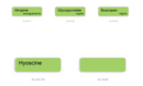 Anticholinergic Agent Anaesthetic Syringe Labels