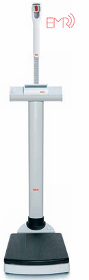 Column Scale (SE 703) with 300kg capacity and integrated measuring rod